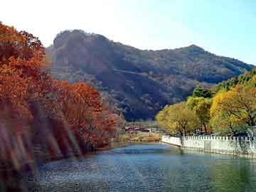 蟾酥价格，seo黑帽